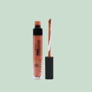 Hd Concealer Pro Corrector 05 Orange Inside